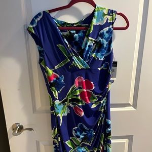 Sleeveless Lauren dress new with tags